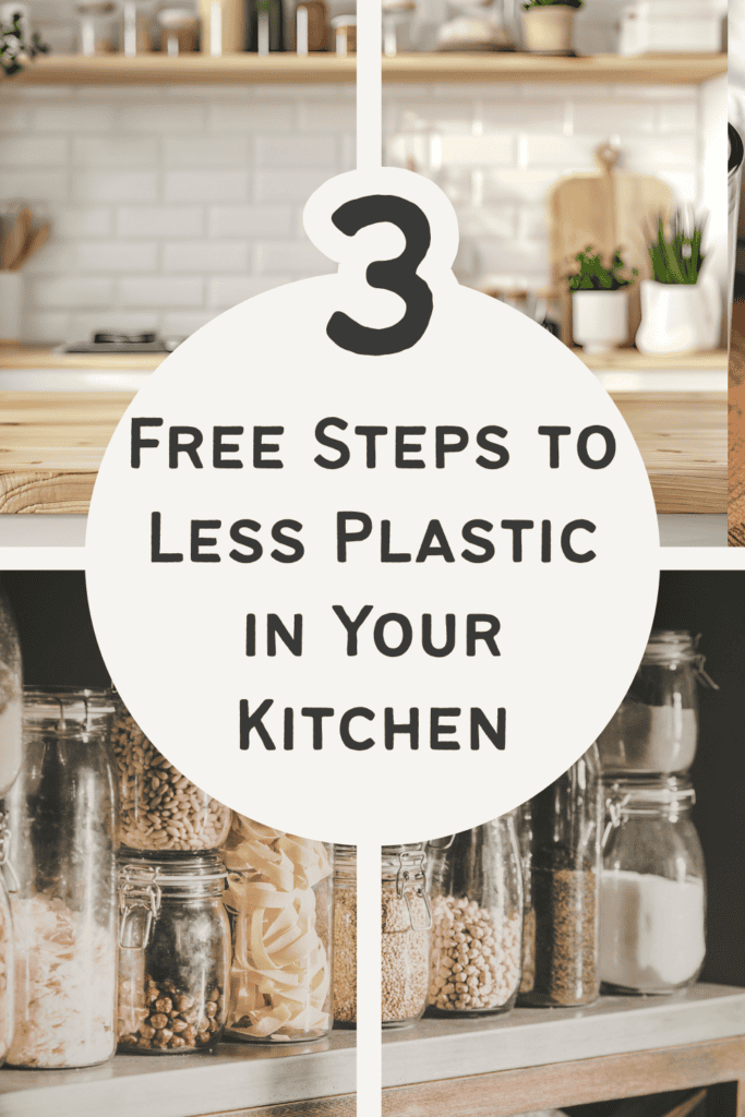 organized pantry showing how to reduce plastic kitchen waste simply