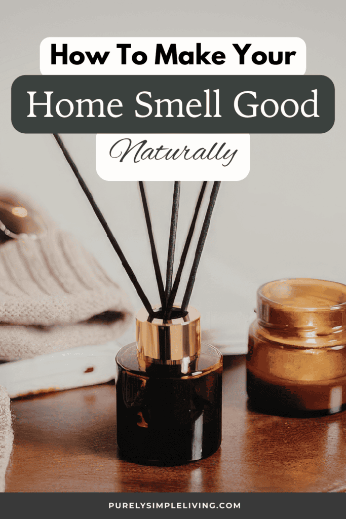 cozy living room filled with natural home fragrance from clean sources