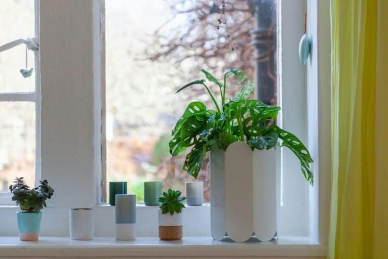 how to improve indoor air quality in your home