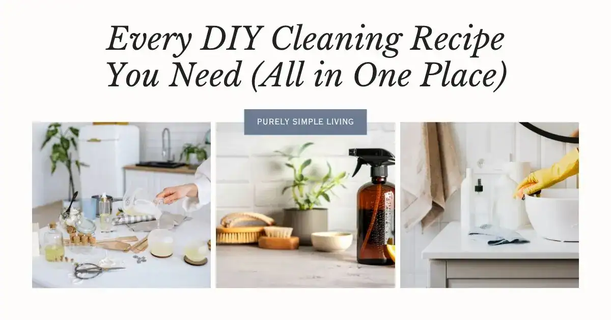 diy cleaning recipe