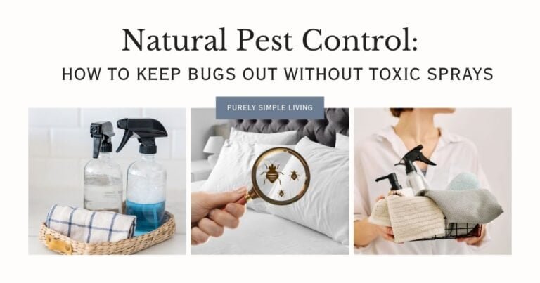 Natural Pest Control: How to Keep Bugs Out Without Toxic Sprays