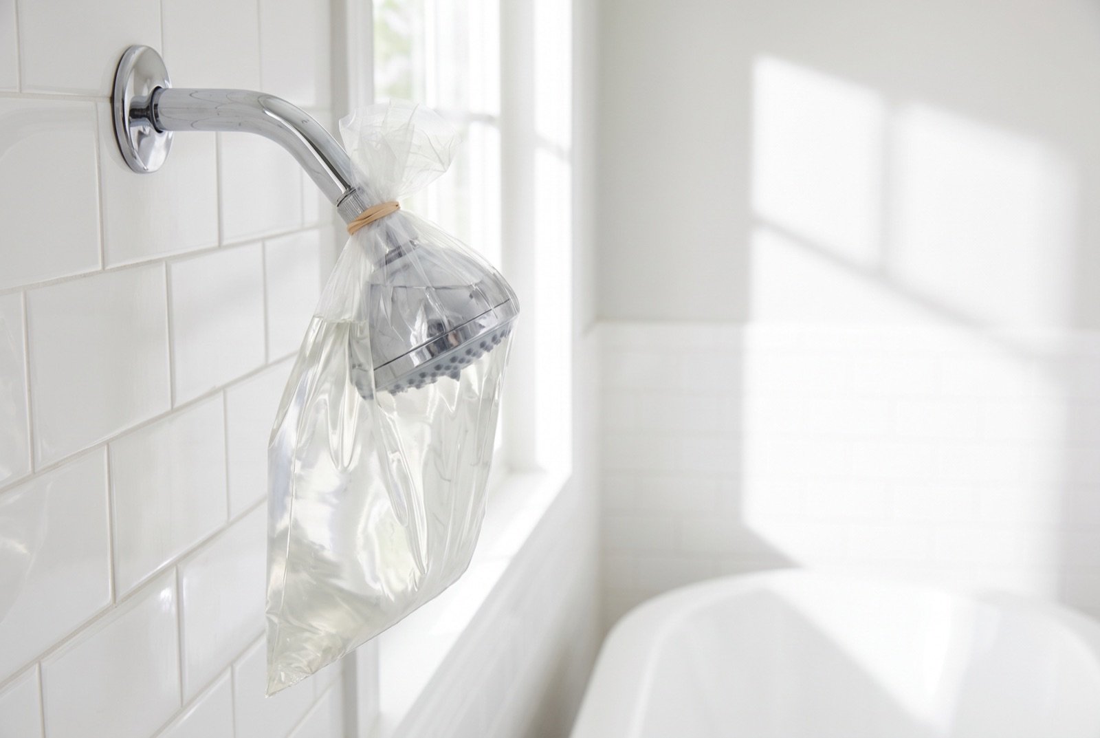 Overnight vinegar soak hack: a bag of white vinegar tied around a showerhead, a non-toxic spring cleaning method for mineral buildup